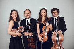 hier sehen Sie das Amaryllis Quartett